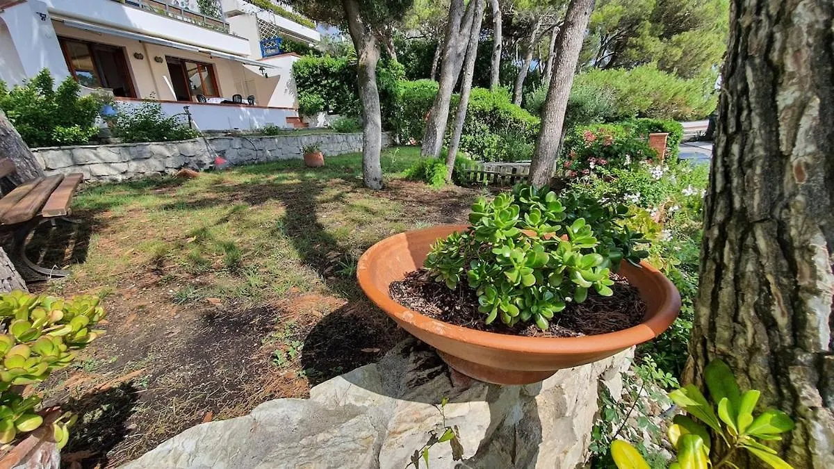 Beach House With Garden Quercianella 0*,  Italy