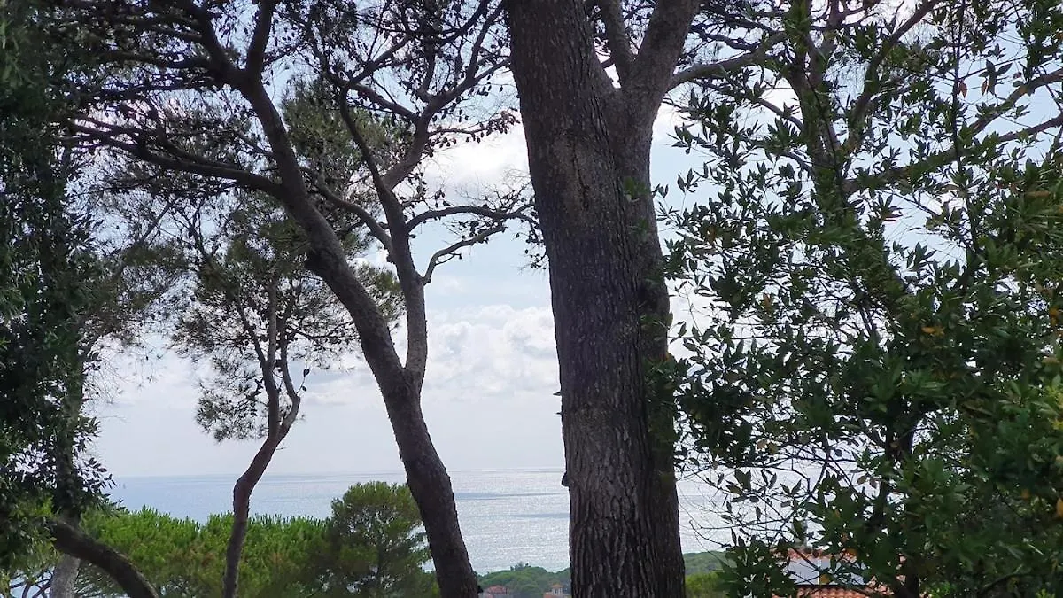 Holiday home Beach House With Garden Quercianella Italy