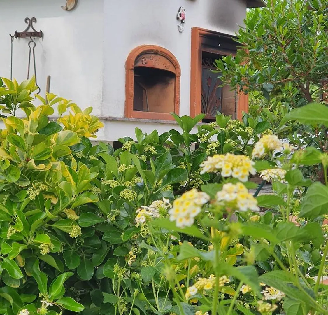 Beach House With Garden Quercianella Holiday home
